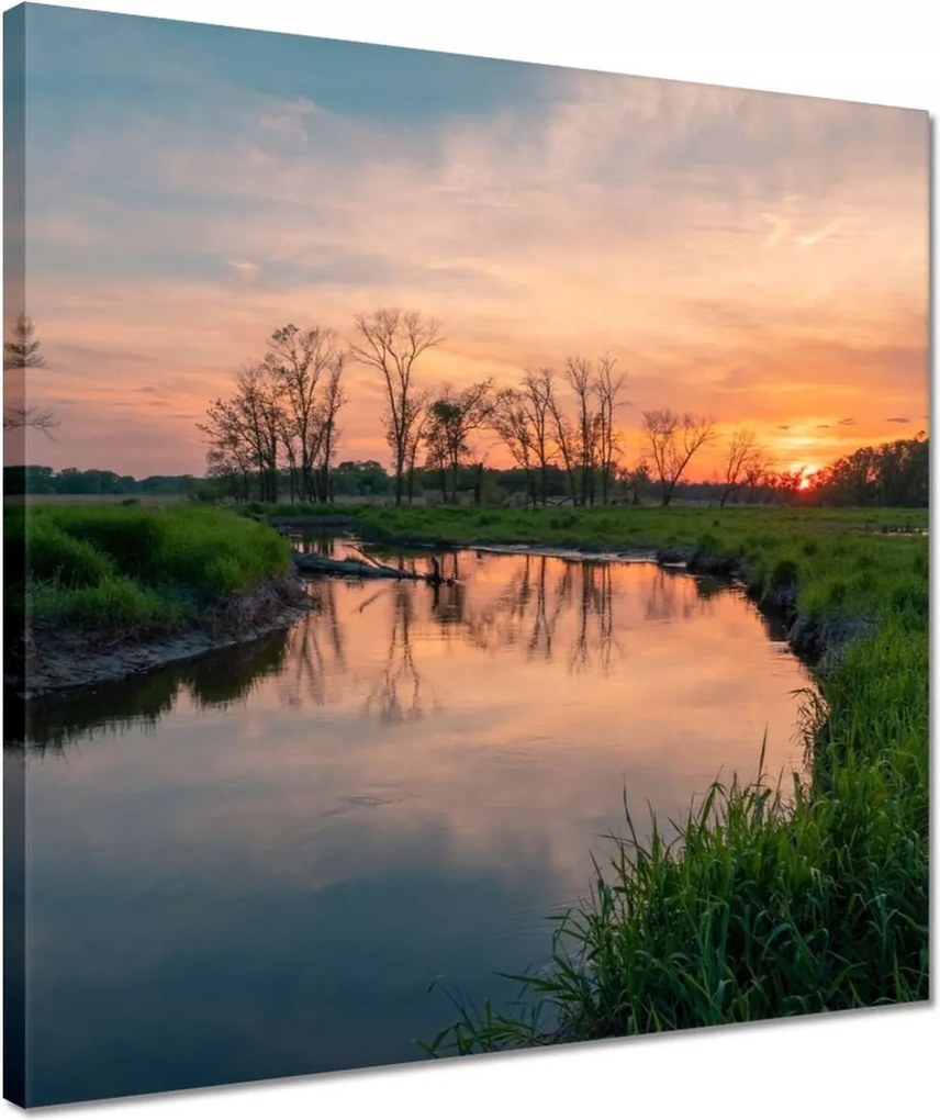 Vászonkép 40x40 Folyó rét