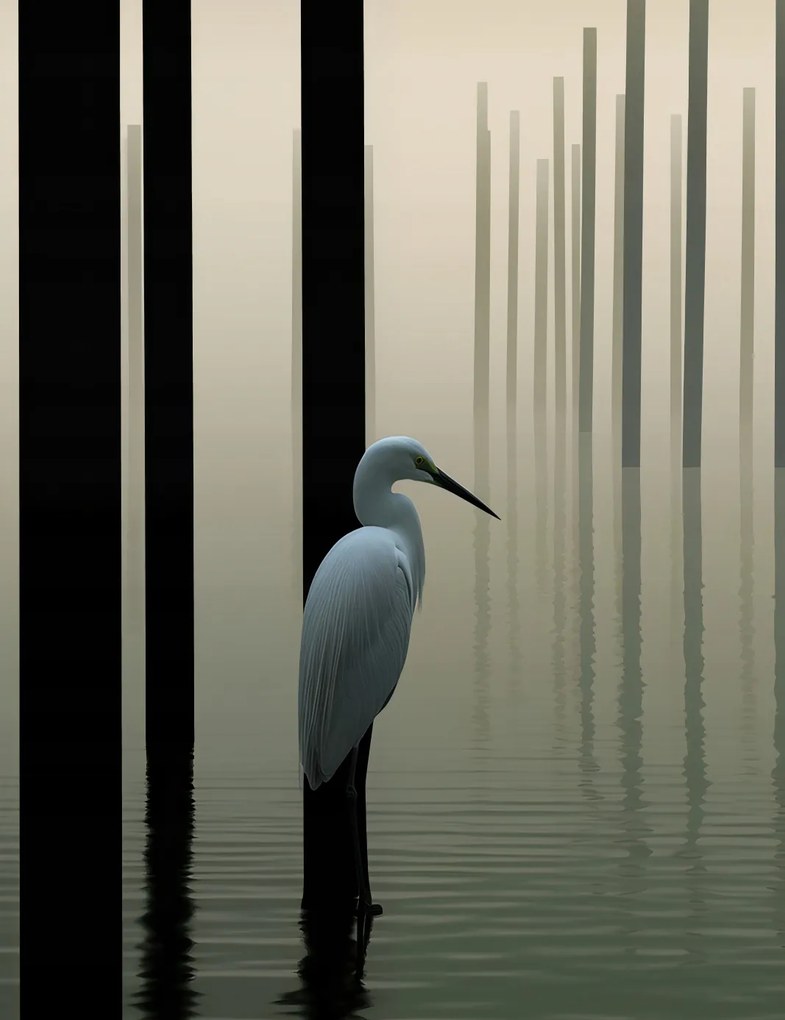 Poszter 50x65cm Köd a vízen