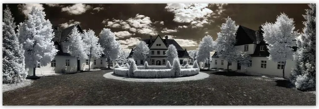 Poszterek 200x66 Ir infravörös fotó