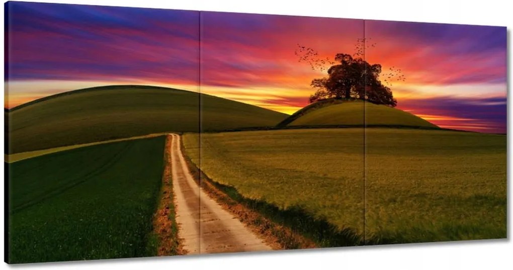 Vászonkép 120x60 Naplemente Hegyek Fa