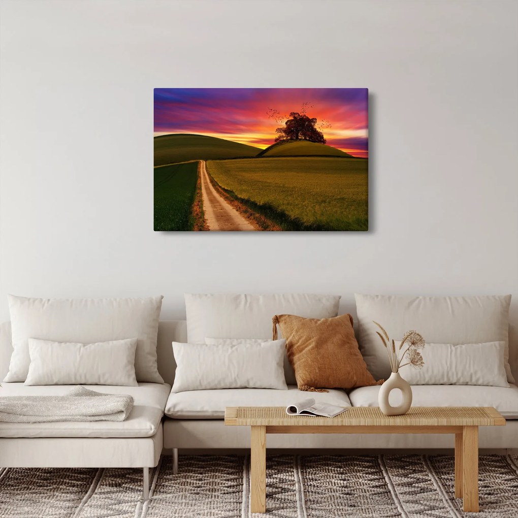 Mező és a színes ég képe (90x60 cm)