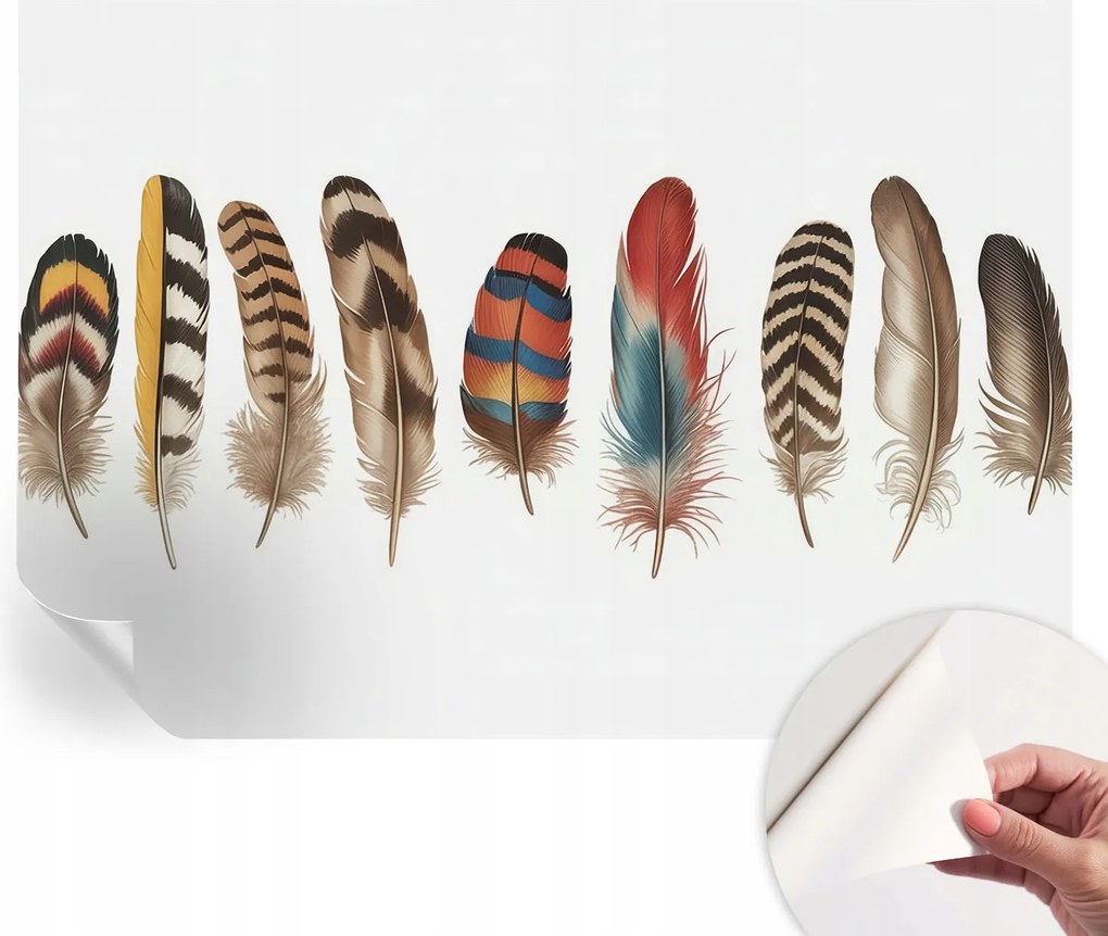 Öntapadós tapéta Divatos 3D fali ragasztóval Színes tollak 208x146 cm