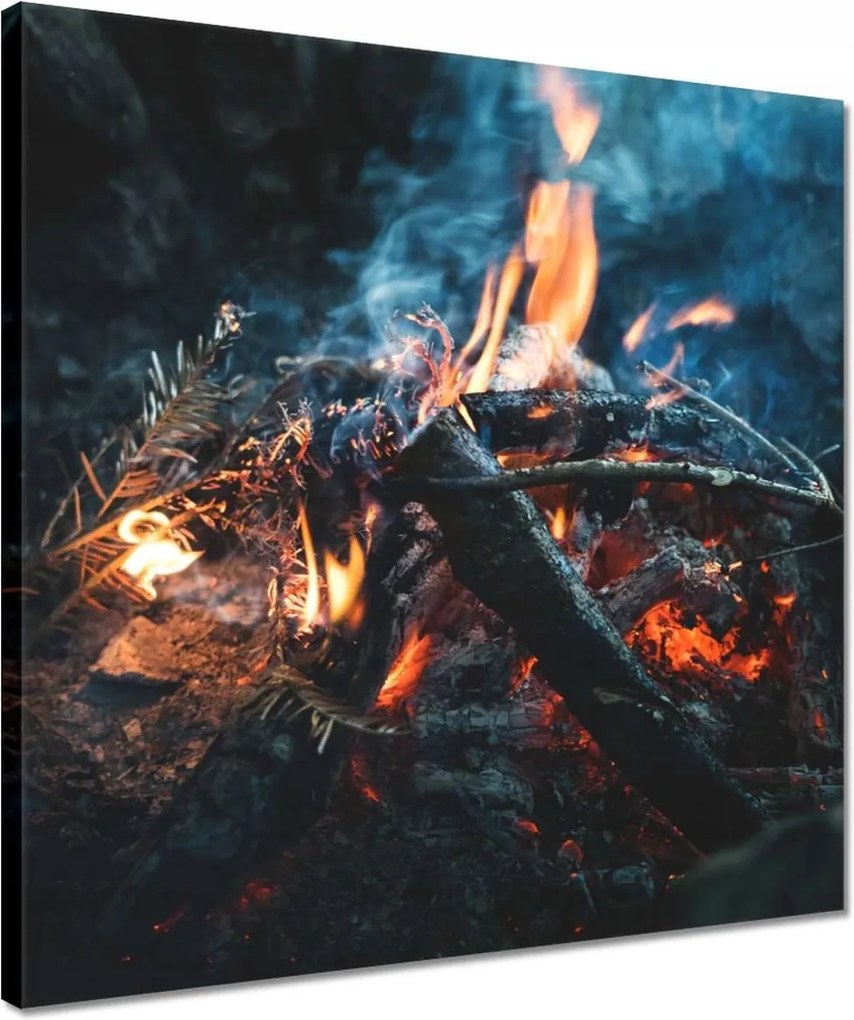 Vászonkép 40x40 Tűz az éjszakában az erdőben