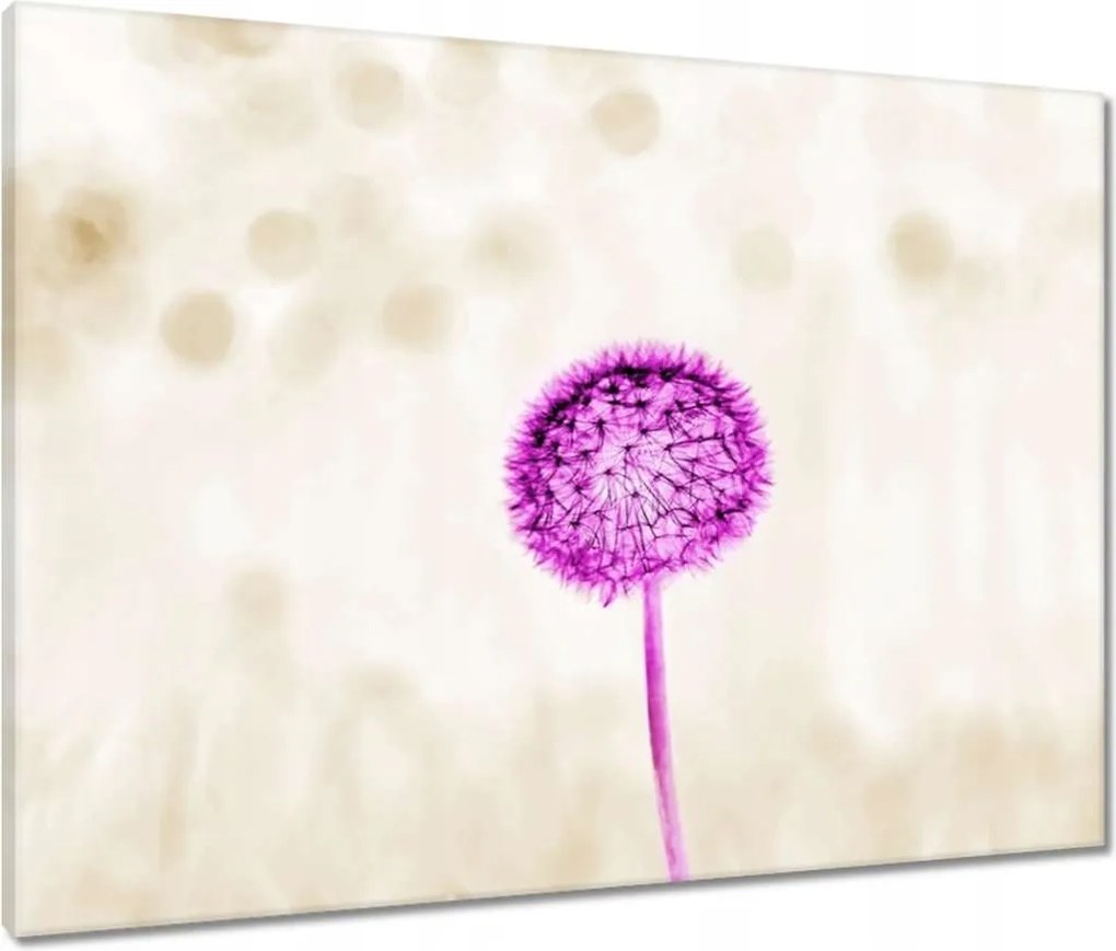 Vászonkép 80x60 Lila pitypang