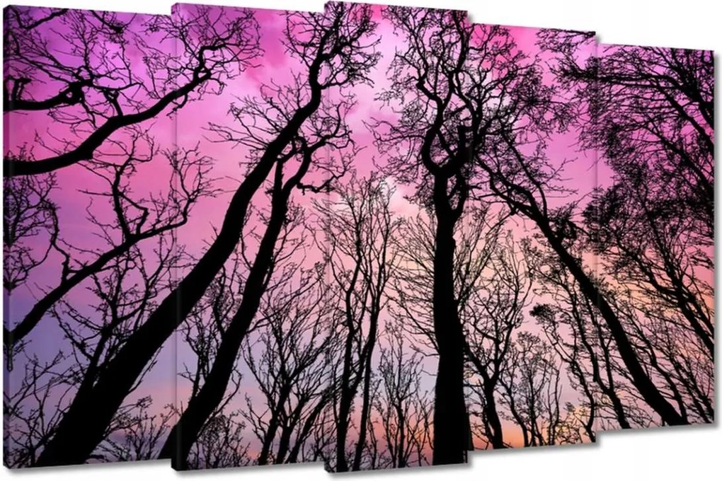 Festmények 150x95 Erdő Fák Kilátás alulról