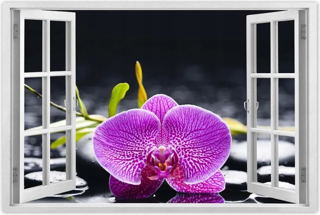 Poszter 60x40 Lila orchidea
