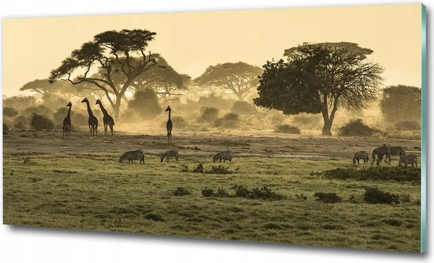 Fotó üvegkép Vízesés az erdőben 100x70