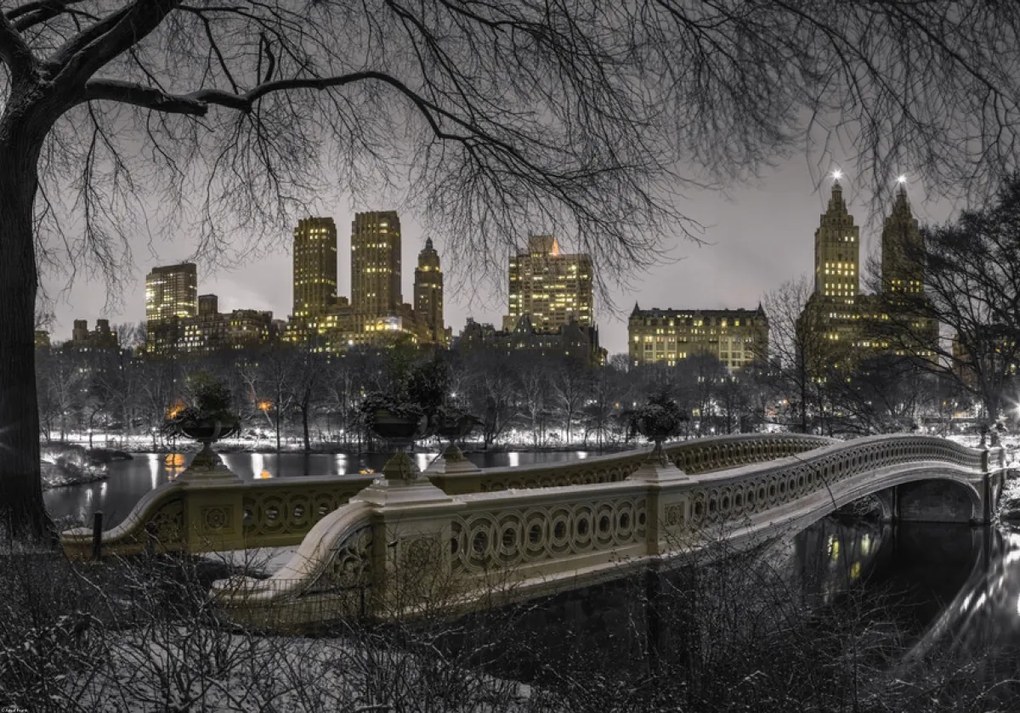 Poszter 66,5x46,5cm Központi park Manhattan panorámával, Assaf Frank
