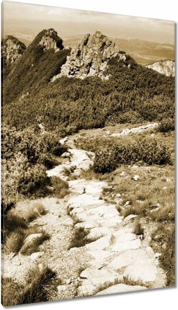 Vászonkép 80x120 Tátra Lengyel hegyek Kilátás