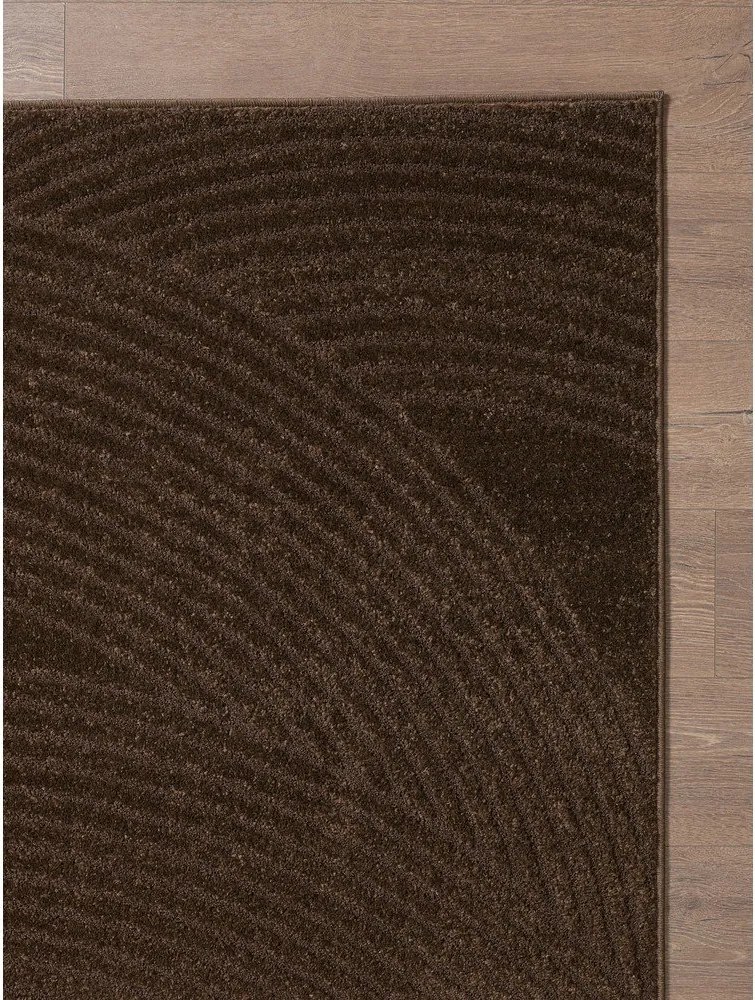 Barna szőnyeg 160x230 cm Zephyr – ESTE