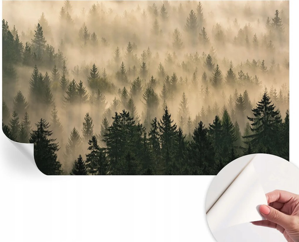 Fotótapéta Dekoratív Fali Tapéta Képekkel Erdei köd 416x254