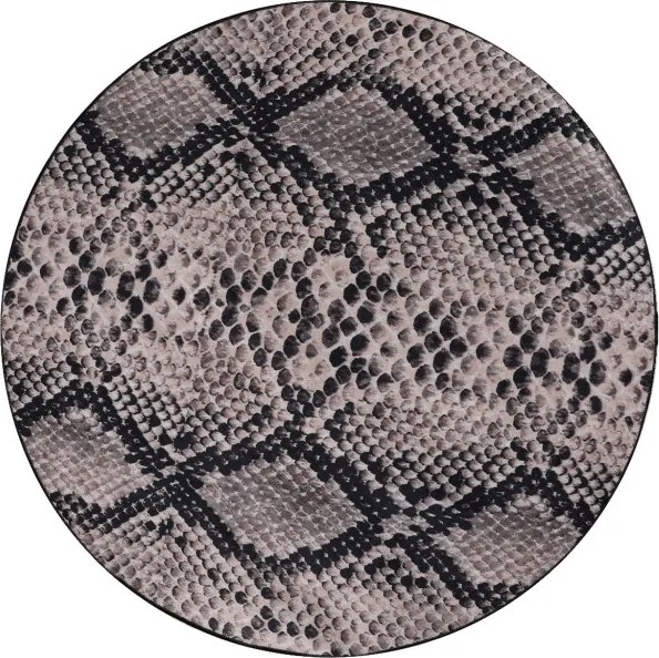 Snake (140)