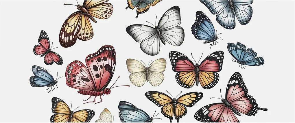 Fotótapéta Fali ragasztó szett Paradicsom pillangók 250x104 Ragasztó