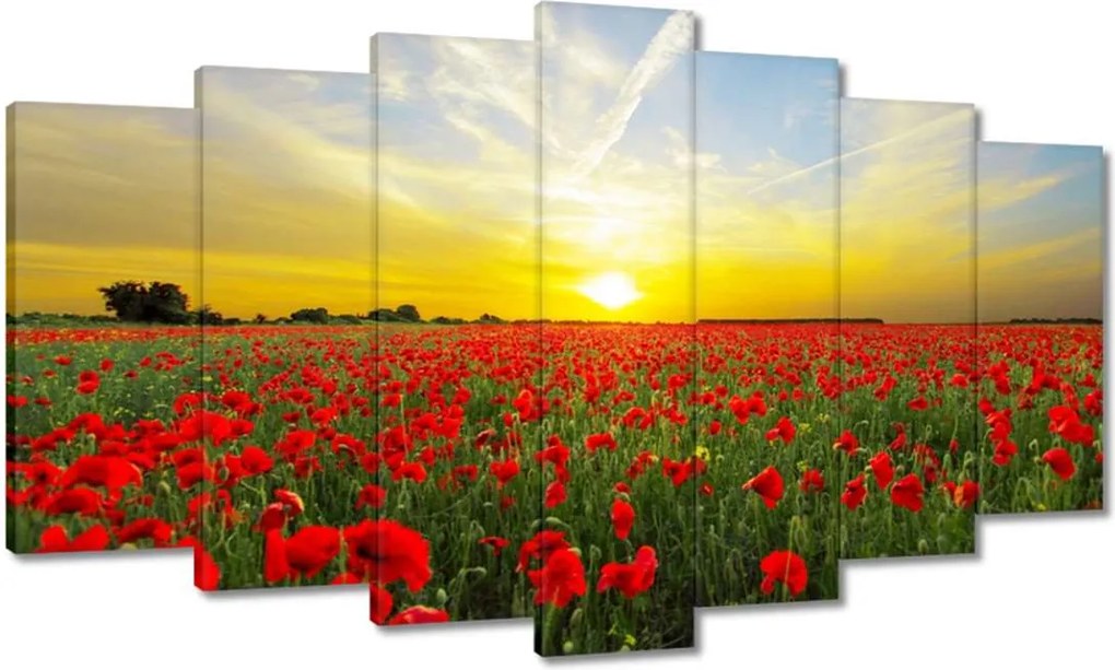 Vászonkép 140x80 Pipacsmező nyugattal