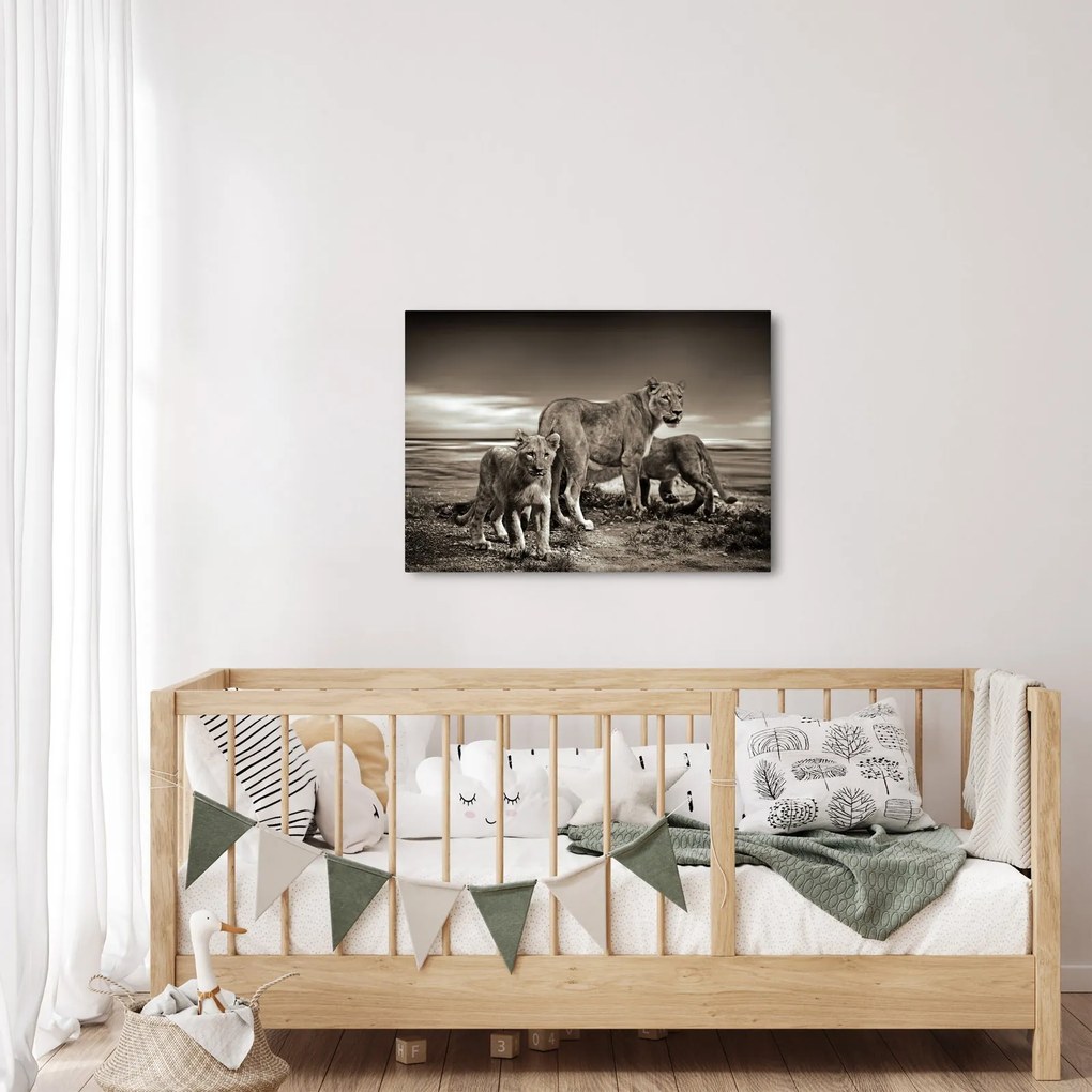 Fekete fehér tigris képe (70x50 cm)