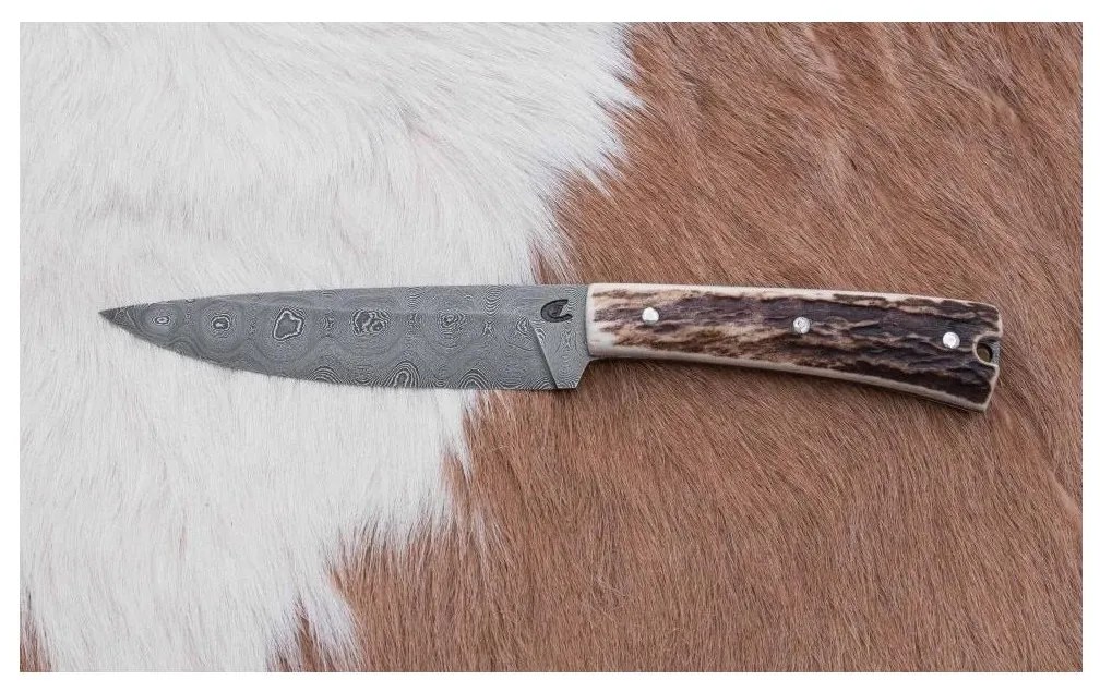 Vadász dispatch kés 12 cm szarvas agancs