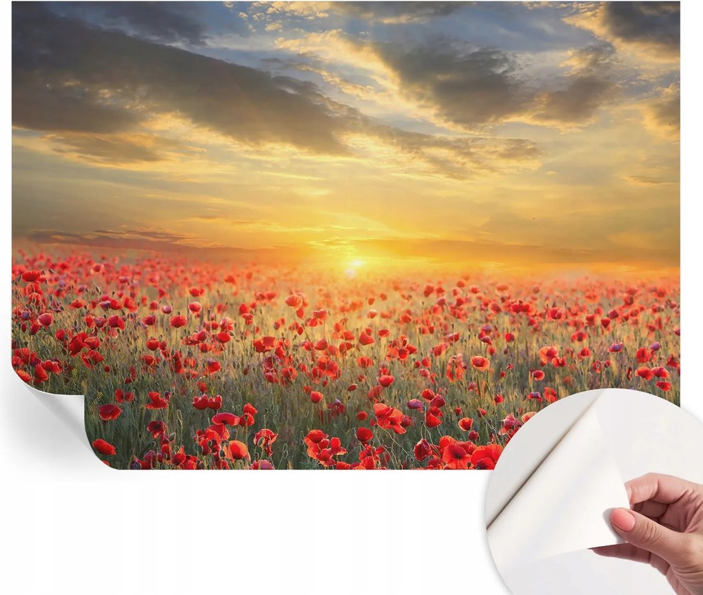 Dekoratív öntapadós fotótapéta Hálószobába pipacs mező 312x219 cm