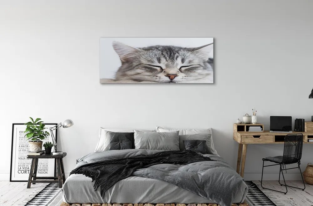 Canvas képek álmos macska 125x50 cm