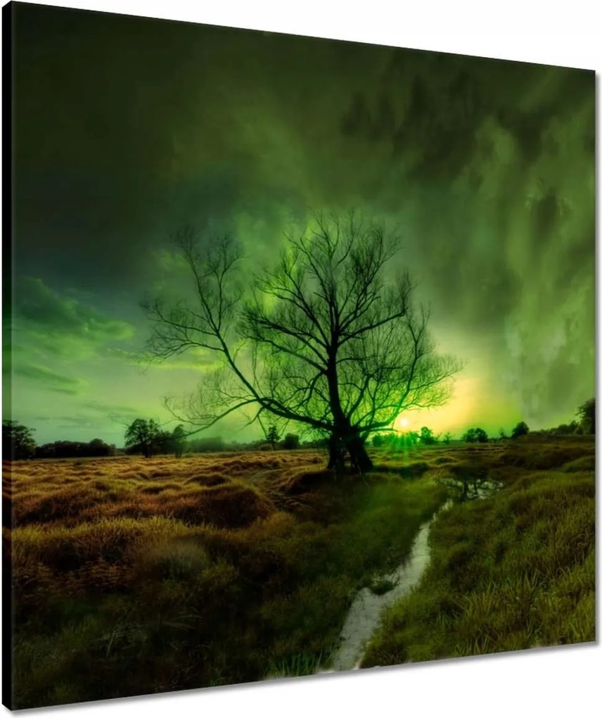 Vászonkép 60x60 Rogalin