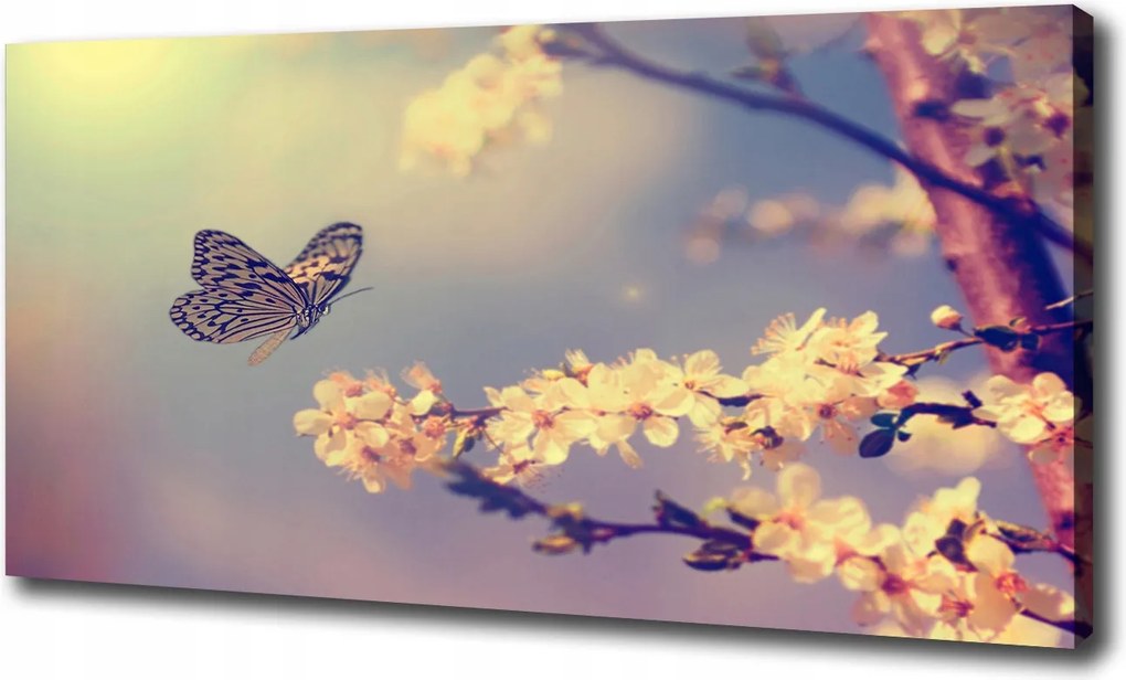 Vászonkép Cseresznyevirág és pillangó 120x60cm