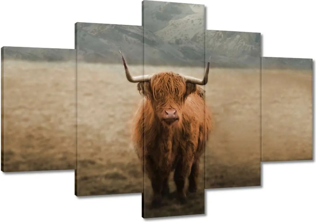 Festmények 120x80 Mint Szarvasmarha Szarvak