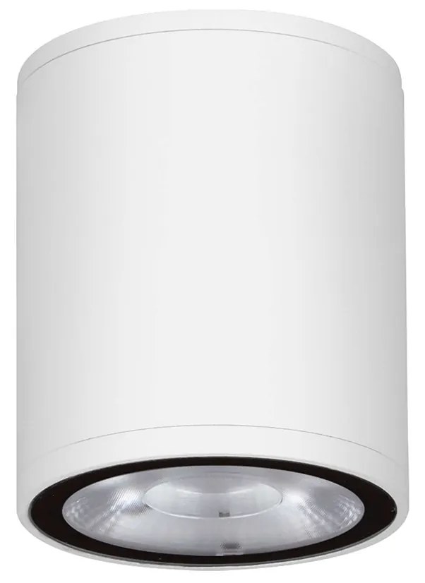 Lumina