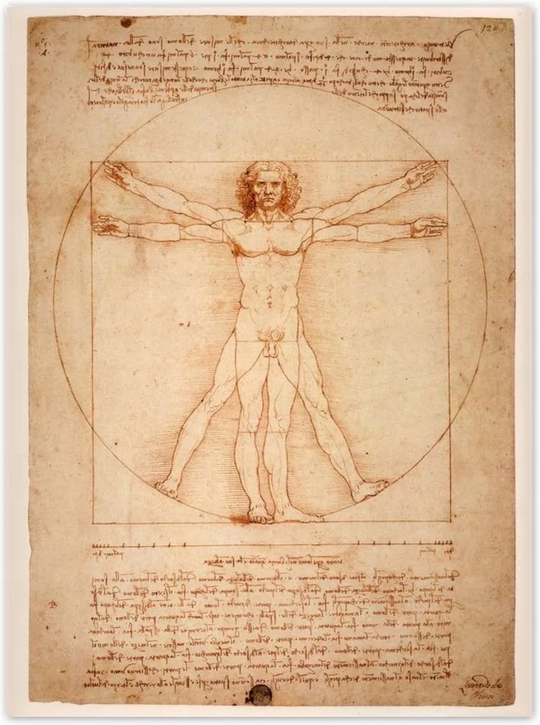 Poszterek 100x135 A vitruviusi ember