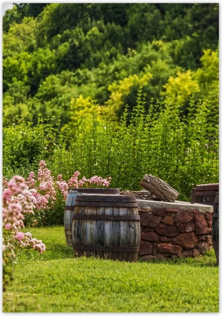 Poszterek 70x100 Csodálatos kert