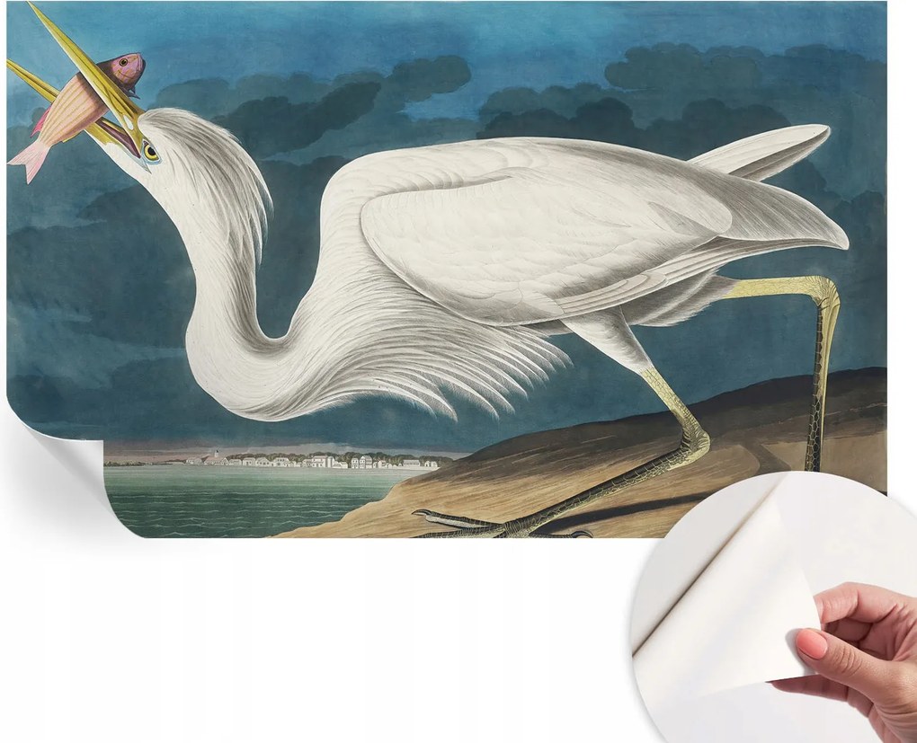 Öntapadós fotótapéta Nappaliba és Hálószobába Madár és hal 416x254 cm