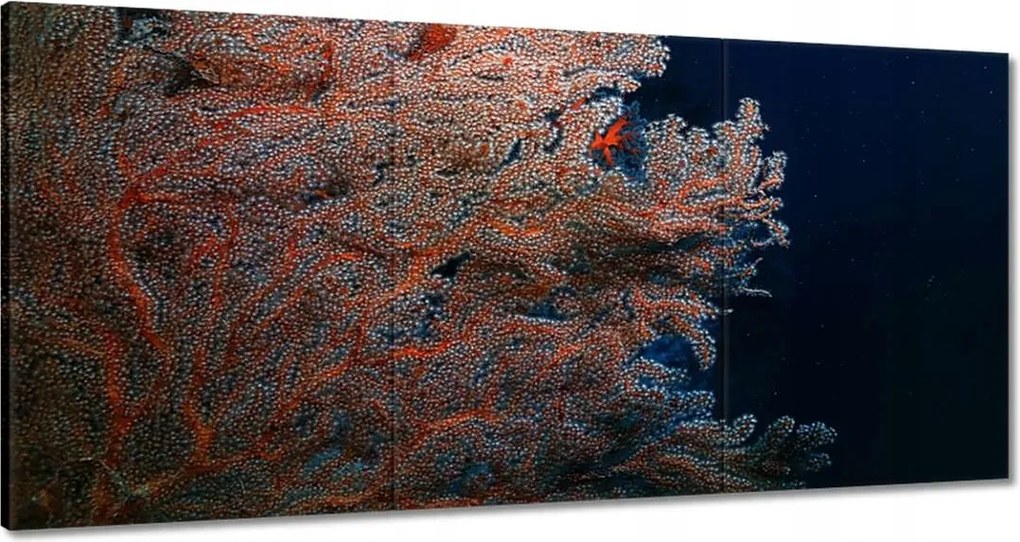 Képek 180x90 Kék ocean zátonyokkal