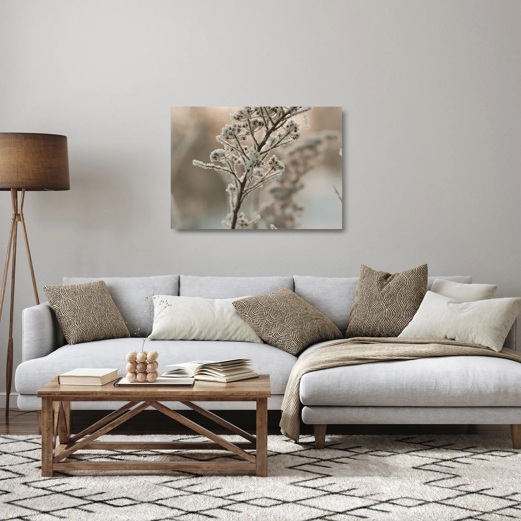 Üveg kép - Növény fagyban (70x50 cm)