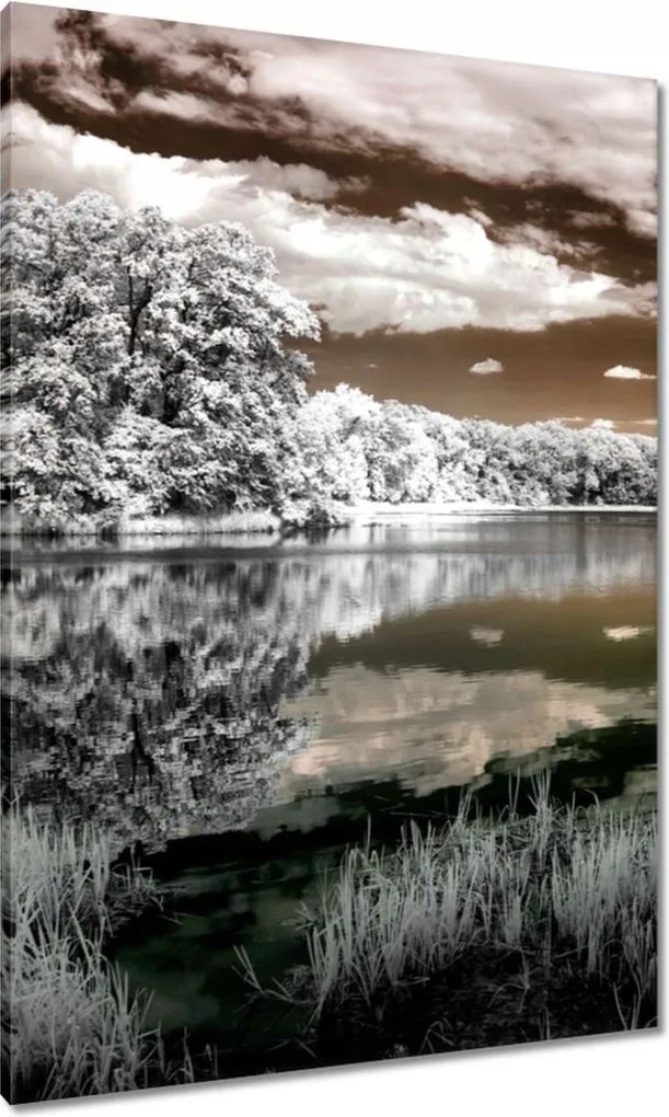 Vászonkép 70x100 Tájkép Infravörös Ir