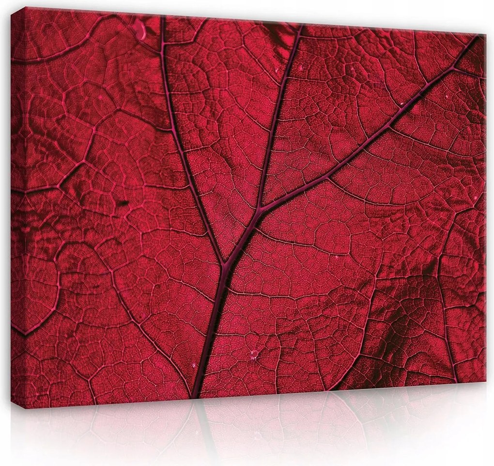 Vászonkép falikép piros bordó levél 100 x 75