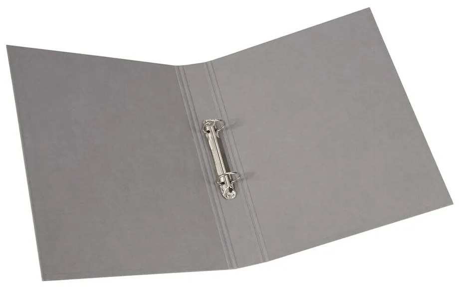 Karton rendszerező dokumentumokhoz Ringo – Bigso Box of Sweden