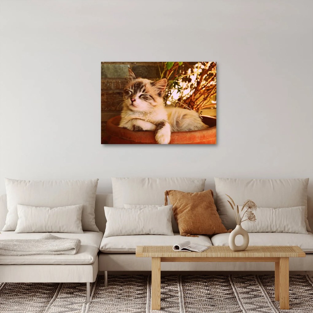 Macska a virágcserépben képe (70x50 cm)