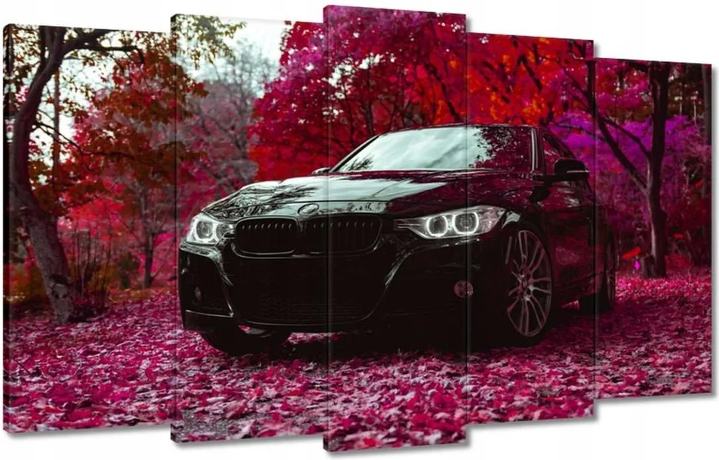 Vászonkép 100x60 Fekete Bmw Ősz