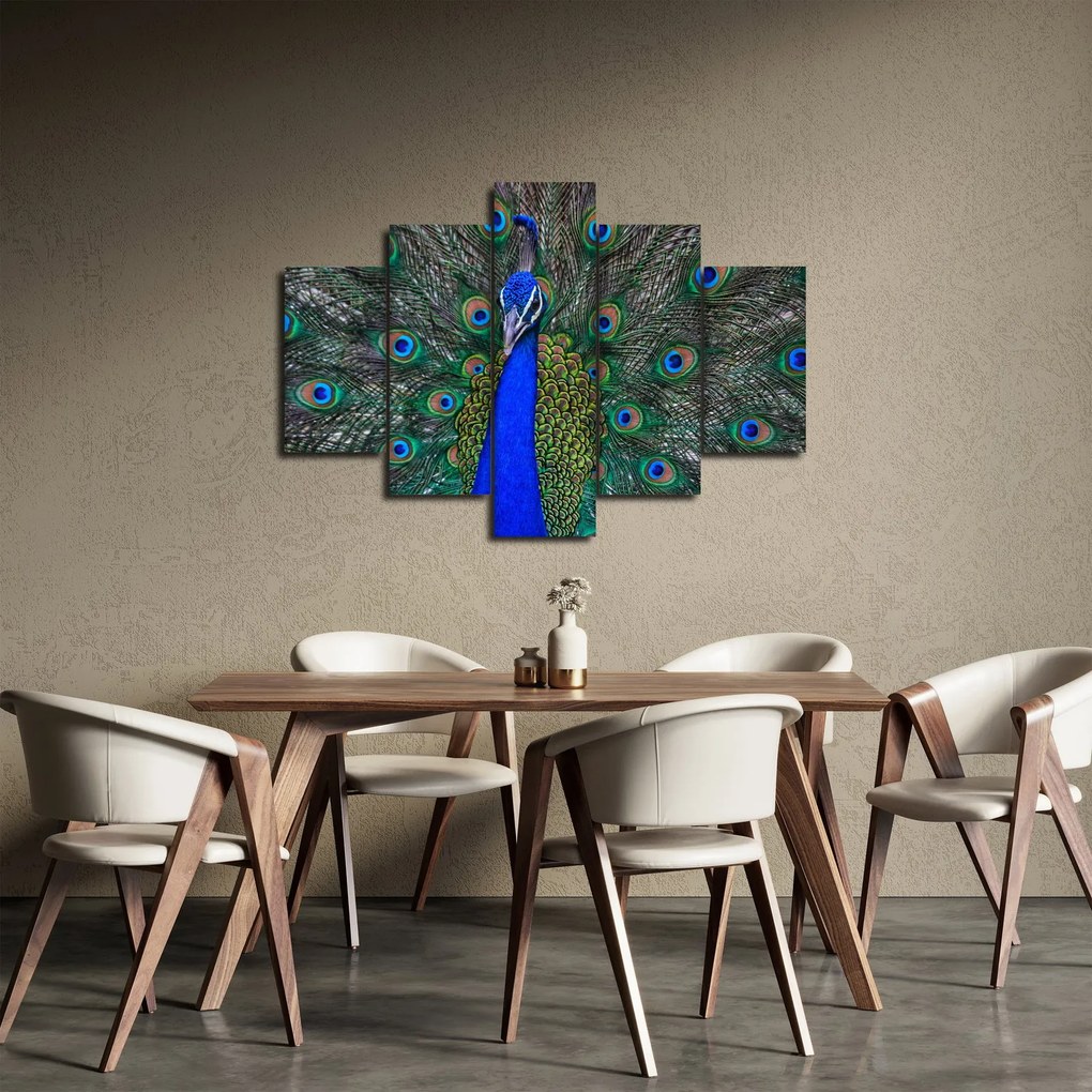 Kép - Páva (150x105 cm)