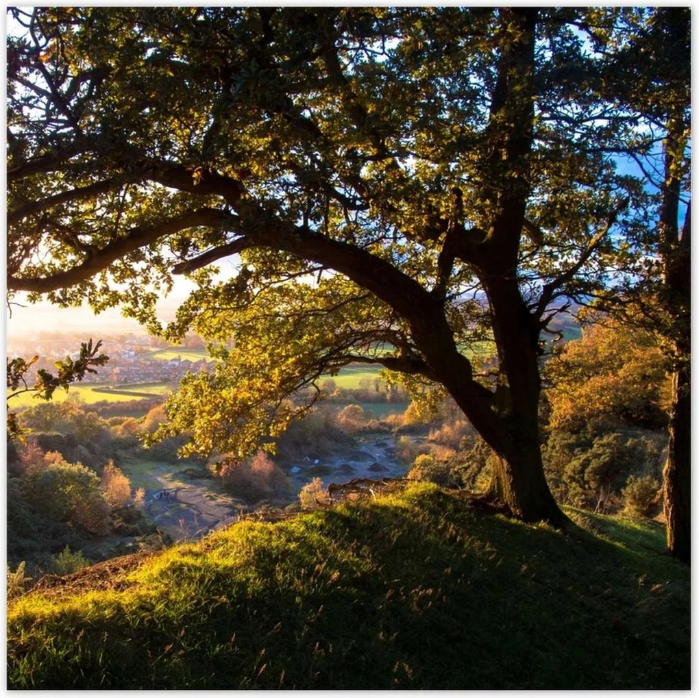 Poszterek 30x30 Kilátás a völgyre