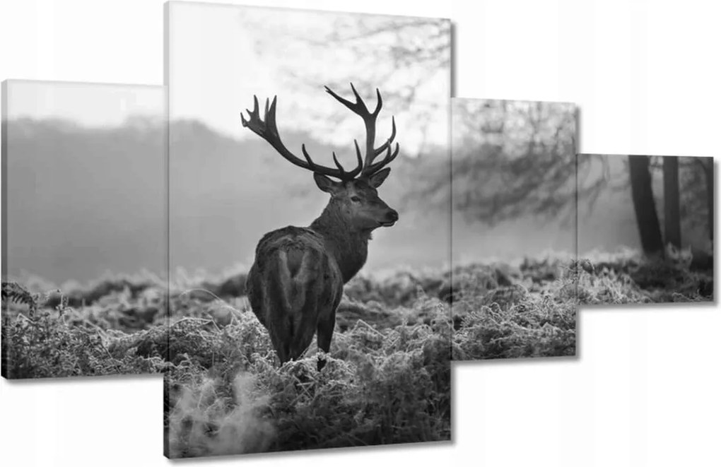 Vászonkép 130x80 Fekete-fehér szarvas