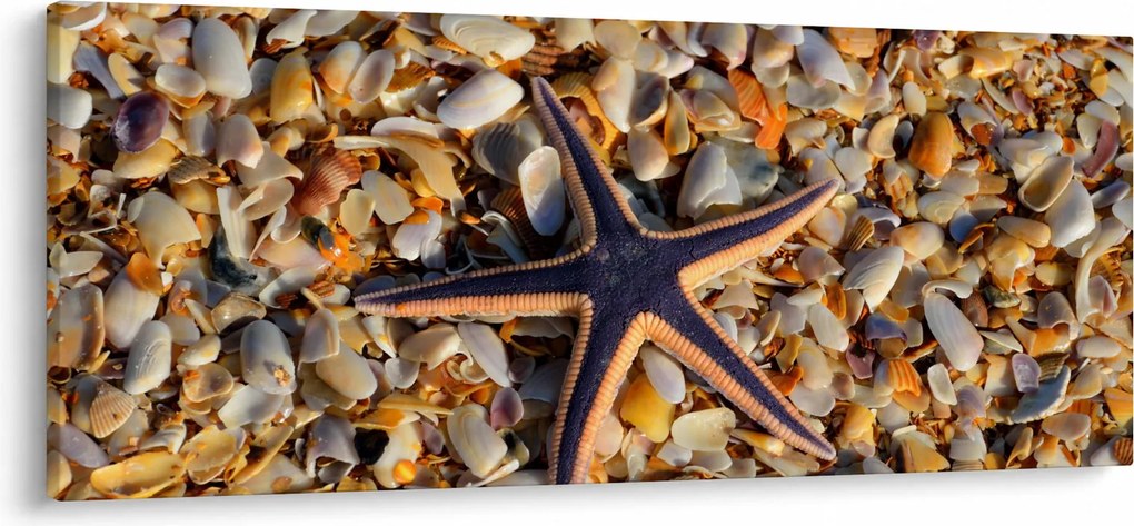 Egy tengeri csillag képe (120x50 cm)