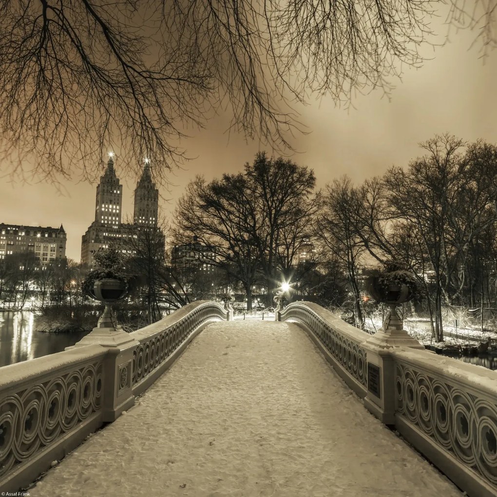 Poszter 30x30cm Central Park Bow Bridge Manhattan panorámával, Assaf Frank