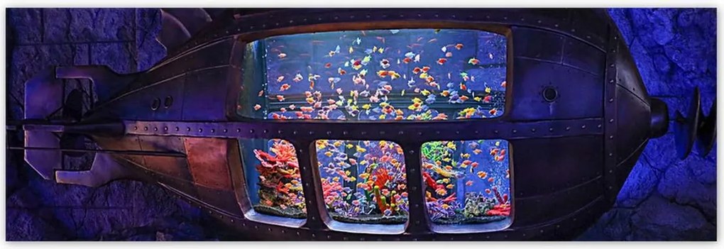 Poszterek 200x66 A halak víz alatti világa