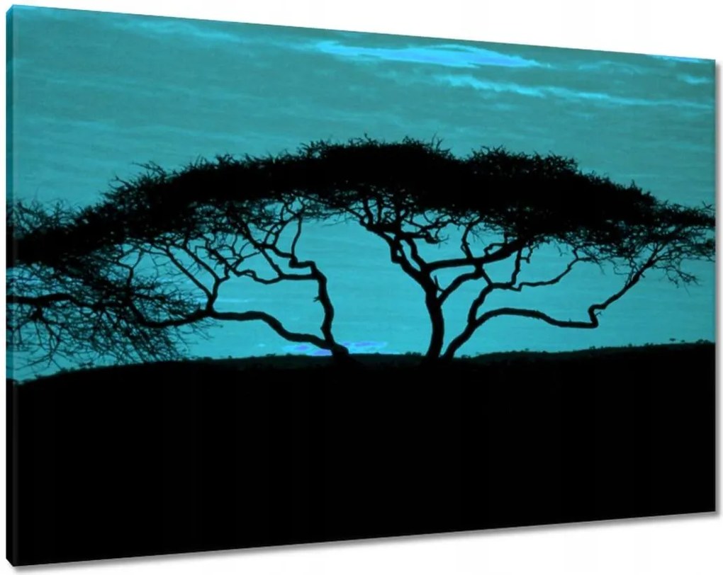 Vászonkép 100x70 Akác a szavannán