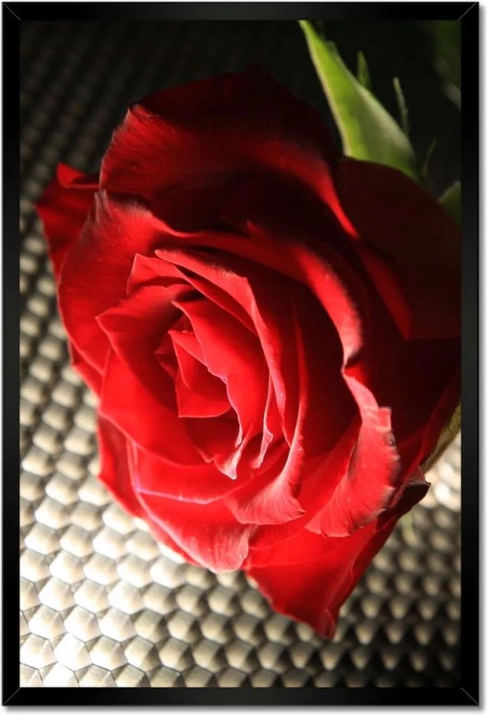 Poszter keretben 40x60 Ízléses rózsa ajándékba