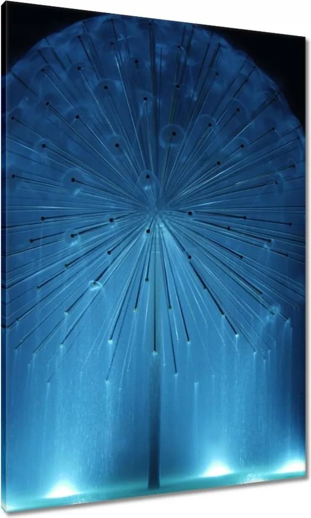 Vászonkép 70x100 Pitypang Virág Virágok