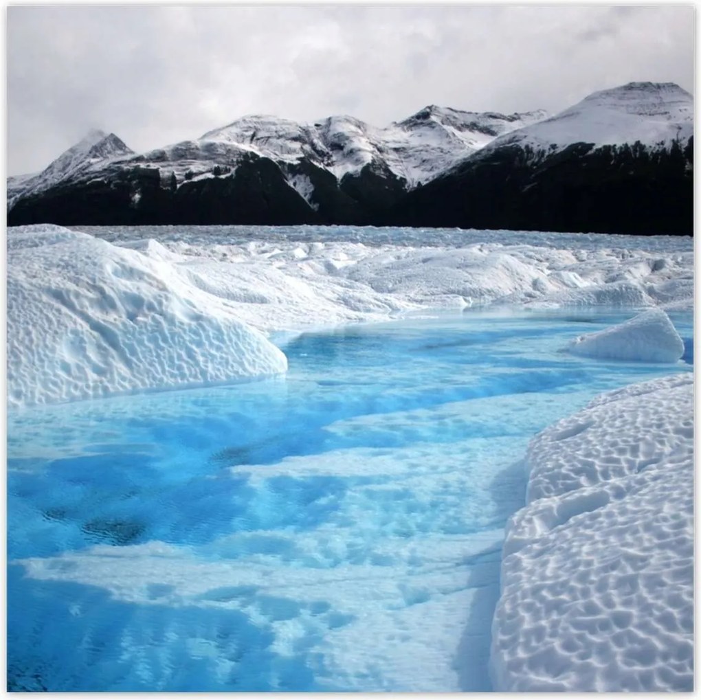 Poszterek 100x100 Kék őrző