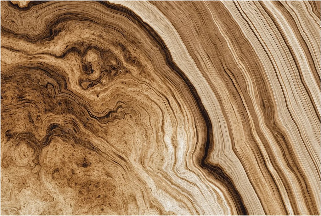 Fotótapéta Fali ragasztó szett Fa tégelyek 104x70 Ragasztó