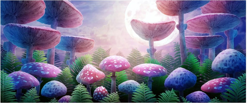 Kép - Gomba teliholdkor, grafika (120x50 cm)