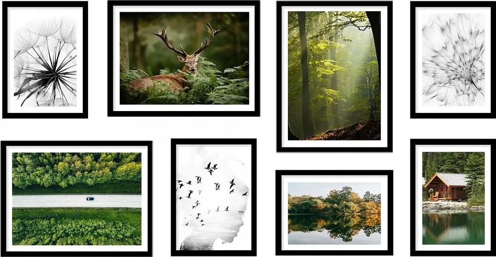 Komplett Galéria 8db-os keretes kép Erdő KPM223