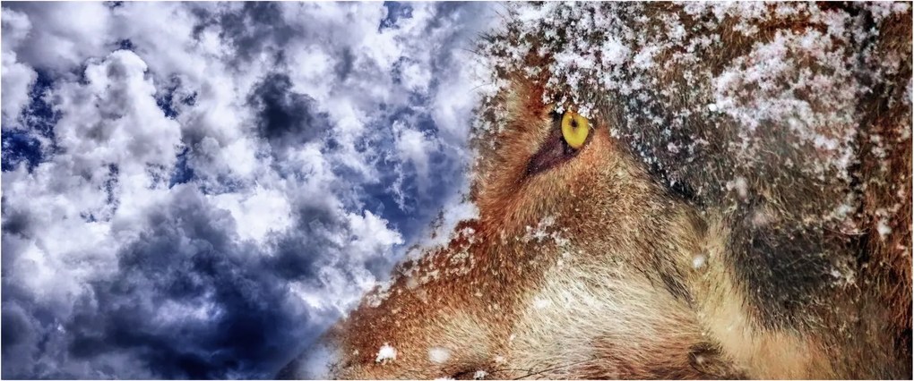 A farkas képe (120x50 cm)
